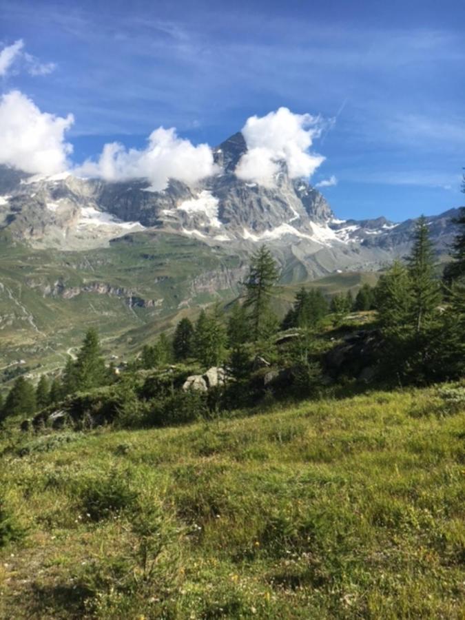 Apartamento Casa Cervinia Circus Breuil-Cervinia Exterior foto
